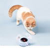 Electric Interactive Cat Toy Ball Feather Infrared Light Tease Tease Cat Stick Toys